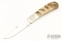 Engraved Sheep Horn Slipjoint
