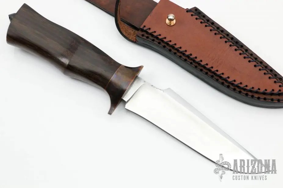 Raptor 4 Raptor - Image 2