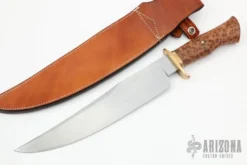 Thuya Burl Bowie
