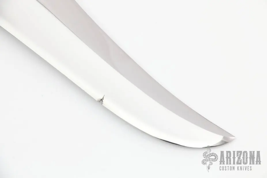 Fighting Leopard 5 Fighting Leopard - Image 3