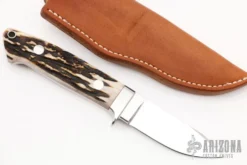 Semi-Skinner - Stag -Knife Promotional Store 1662565038 4186