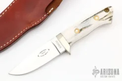 Oregon Special - Stag