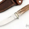 Stag Hunter 2 Stag Hunter -Knife Promotional Store 1668019235 4426
