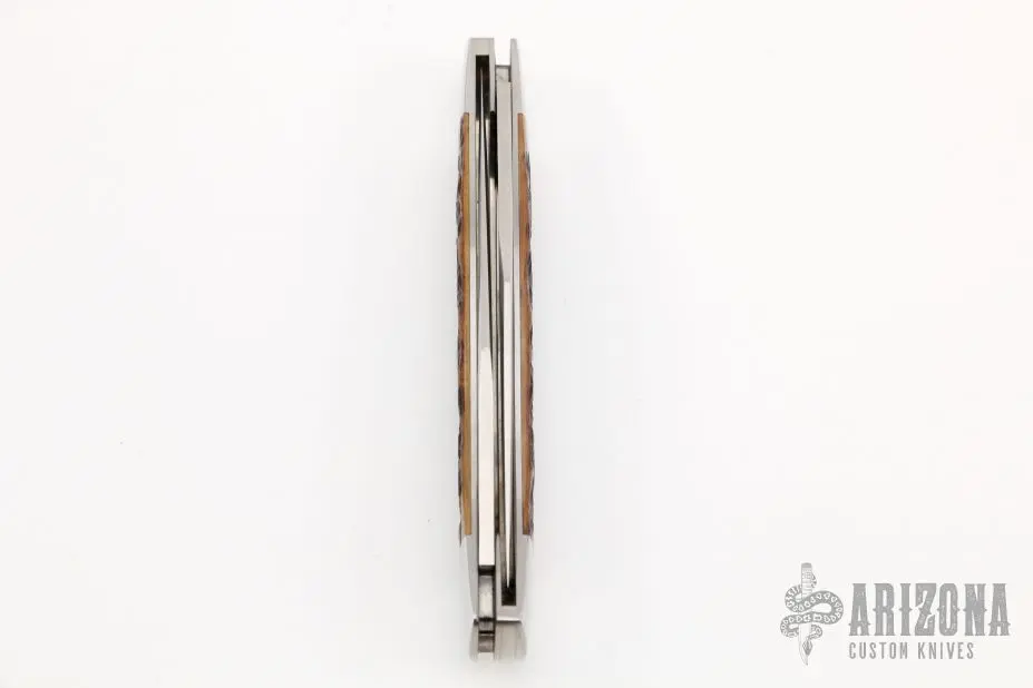 Muskrat 6 Muskrat - Image 4