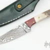 Damascus And Stag Hunter 1 Damascus And Stag Hunter -Knife Promotional Store 1674235439 3146