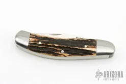 3-Blade Sowbelly - Stag -Knife Promotional Store 1676056471 1514