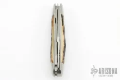 3-Blade Sowbelly - Stag -Knife Promotional Store 1676056471 6074