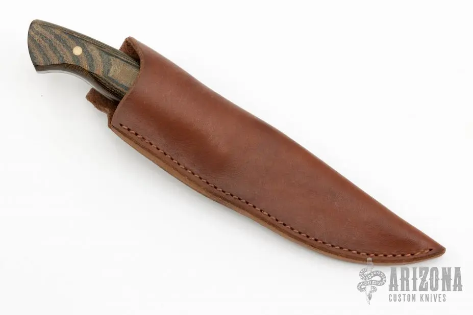 Beagle V2.0 5 Beagle V2.0 - Image 3