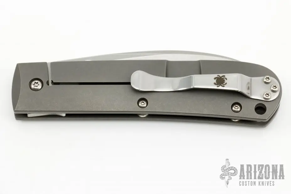 C249TIP Swayback PLN 5 C249TIP Swayback PLN - Image 3