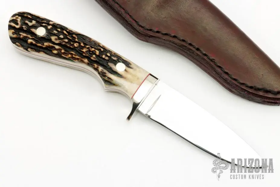 Stag Drop Point Hunter 4 Stag Drop Point Hunter - Image 2