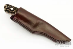 Stag Drop Point Hunter 7 Stag Drop Point Hunter -Knife Promotional Store 1676562934 9118