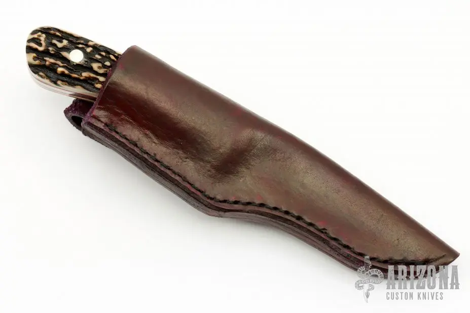 Stag Drop Point Hunter 5 Stag Drop Point Hunter - Image 3