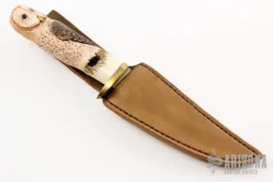 Carved Stag Hunter -Knife Promotional Store 19190507 16120