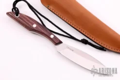 Belt Knife -Knife Promotional Store 19191119 41786